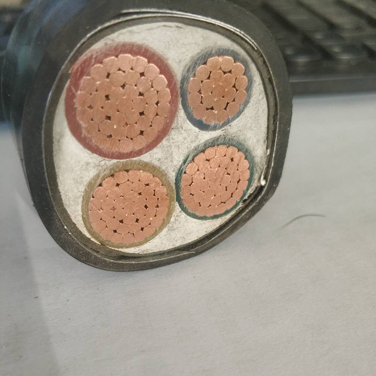  &nbsp; &nbsp; &nbsp; &nbsp; 廣東電纜廠有限公司