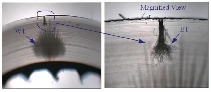 廣東電纜 廣東電纜